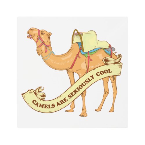 Camels are cool metal print