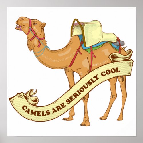 Camels are seriously cool poster