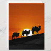 Camels at sunset (Front/Back)