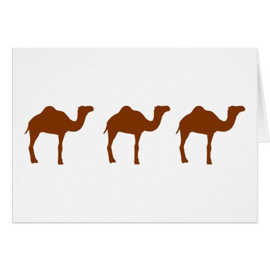 Camels Cards (Front Horizontal)