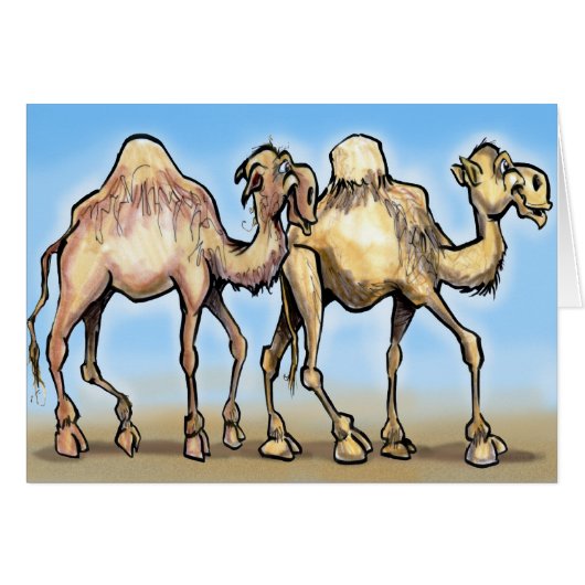 Camels Cards (Front Horizontal)
