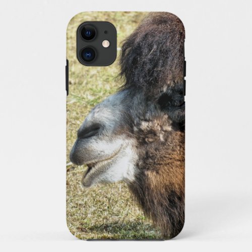 CAMELS iPhone 11 CASE