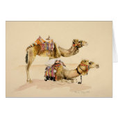 Camels from Petra 2007 (Front Horizontal)