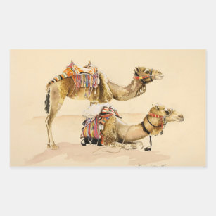Camels from Petra 2007 Rectangular Sticker