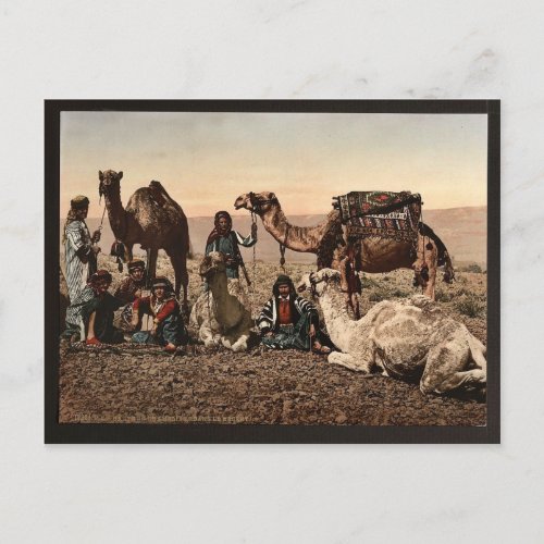 Camels halting in the desert Holy Land vintage Ph Postcard