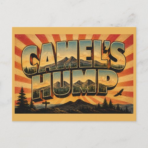 Camel's Hump VT Alpine Tundra Spruce Forest Art Postcard