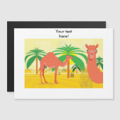 Camels illustration (Front/Back)