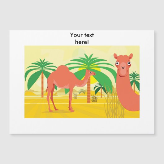 Camels illustration (Front)