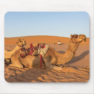 Camels in Oman desert Mouse Pad