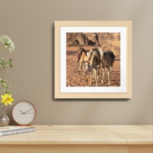 “Camels in the Desert” 16 x16” Matted & Framed Art