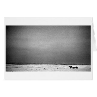Camels in the Desert - Jordan 1990 Cards