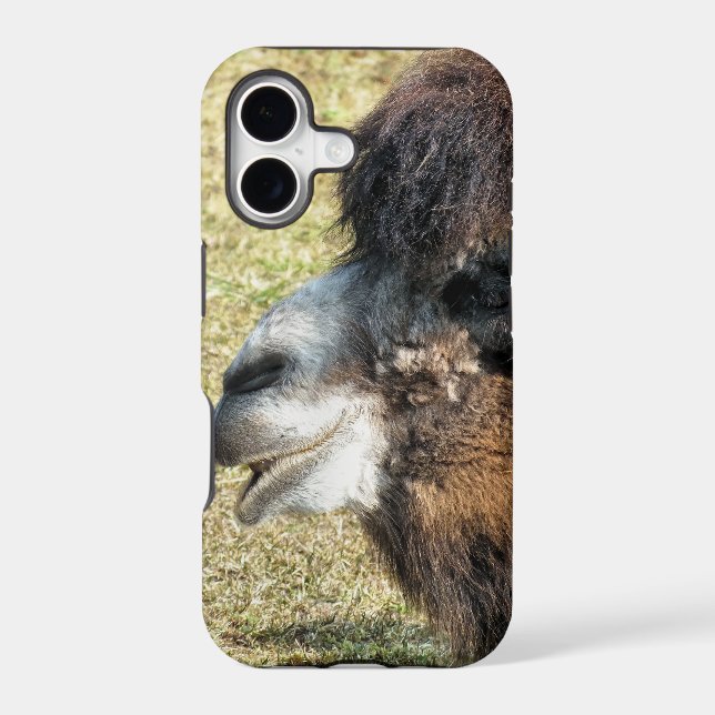 CAMELS IPHONE CASE (Back)
