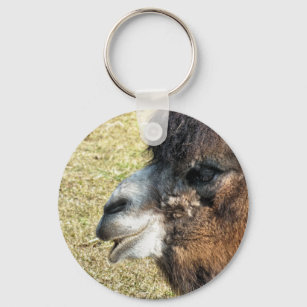 CAMELS KEYCHAIN