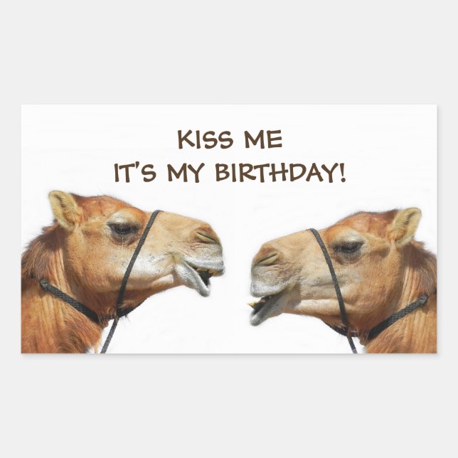 Camels Kissing Funny Sticker (Front)