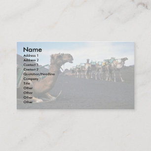 Camels, Lanzarote Business Card