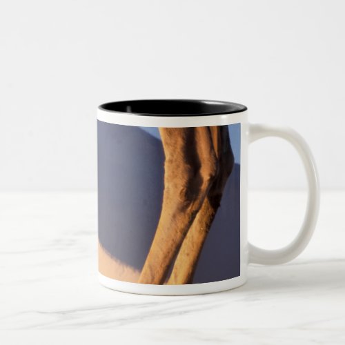 Camels legs with sand dunes Dunhuang Gansu Two_Tone Coffee Mug