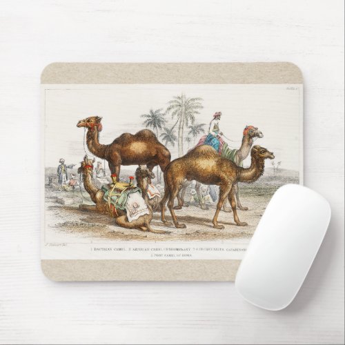 Camels of India Vintage Illustration 1820 Mouse Pad
