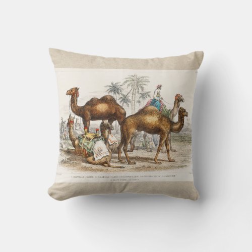 Camels of India Vintage Illustration 1820 Throw Pillow