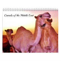 Camels of the Middle East