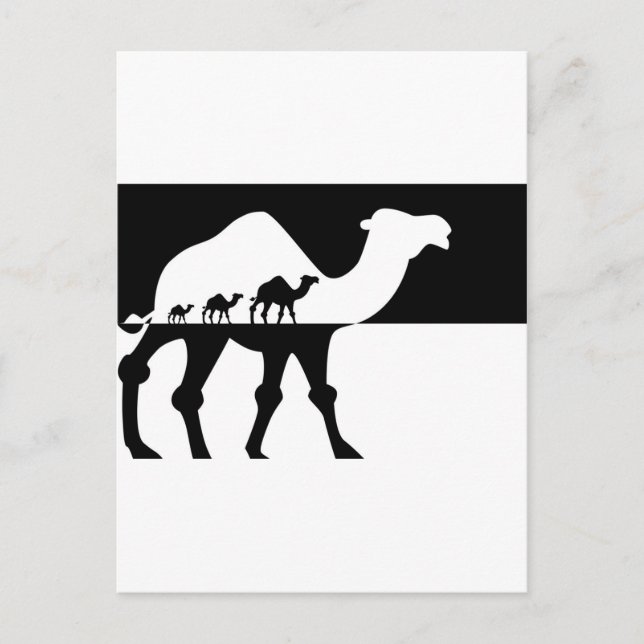 Camels Postcard (Front)
