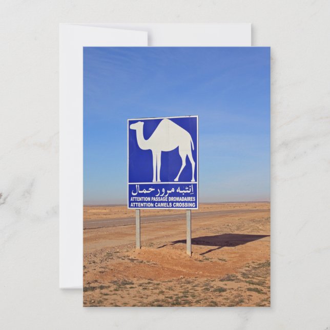 Camels sign, Tunisia, card (Front)