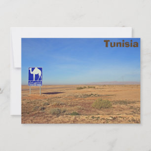 Camels sign, Tunisia card