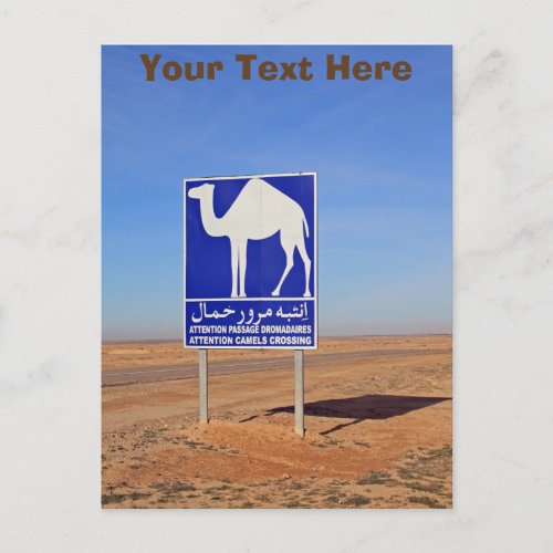 Camels sign Tunisia customizable Postcard