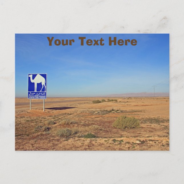 Camels sign, Tunisia customizable Postcard (Front)