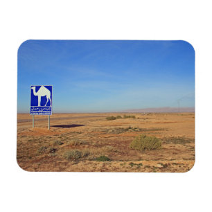 Camels sign, Tunisia Magnet