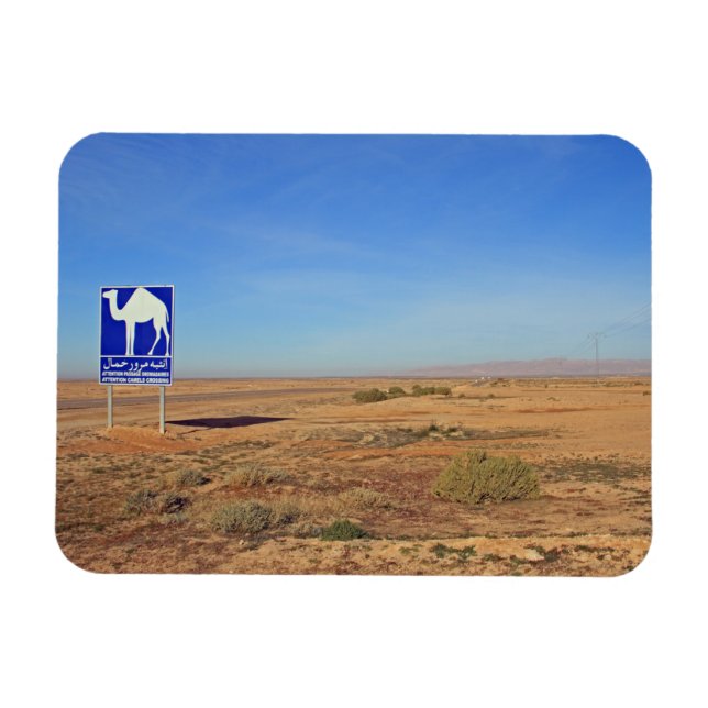 Camels sign, Tunisia Magnet (Horizontal)