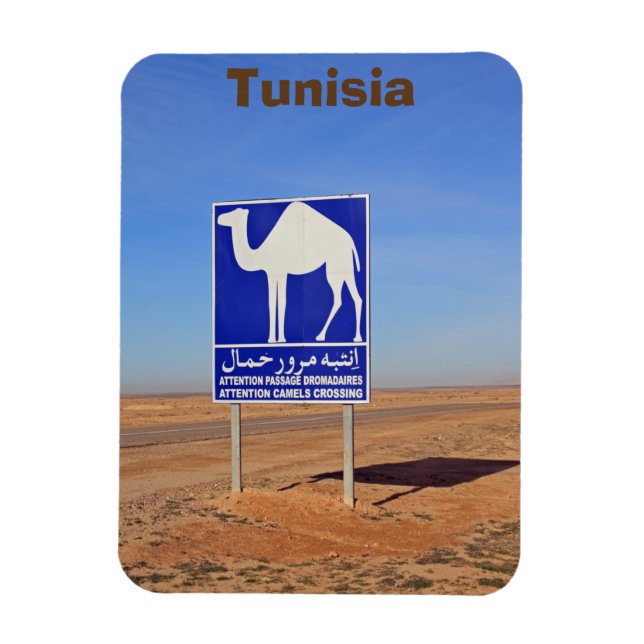 Camels sign, Tunisia Magnet (Vertical)