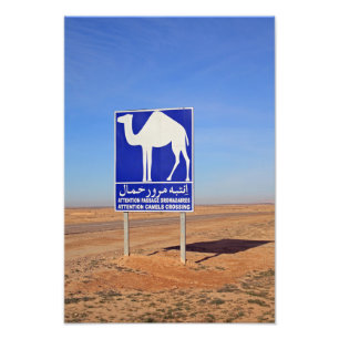 Camels sign, Tunisia Photo Print