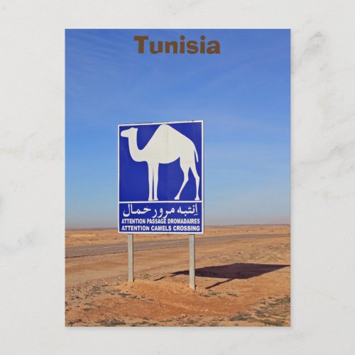 Camels sign Tunisia Postcard