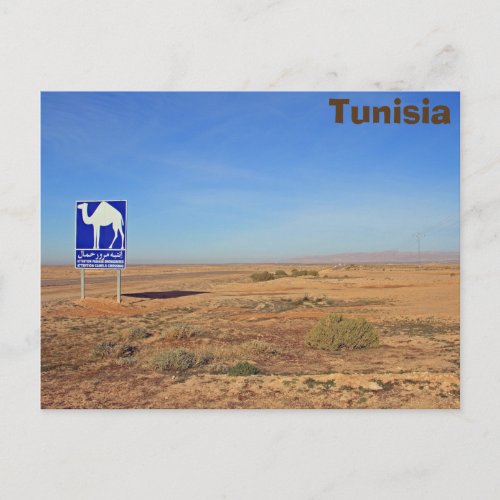 Camels sign Tunisia Postcard