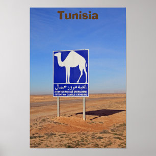 Camels sign, Tunisia Poster