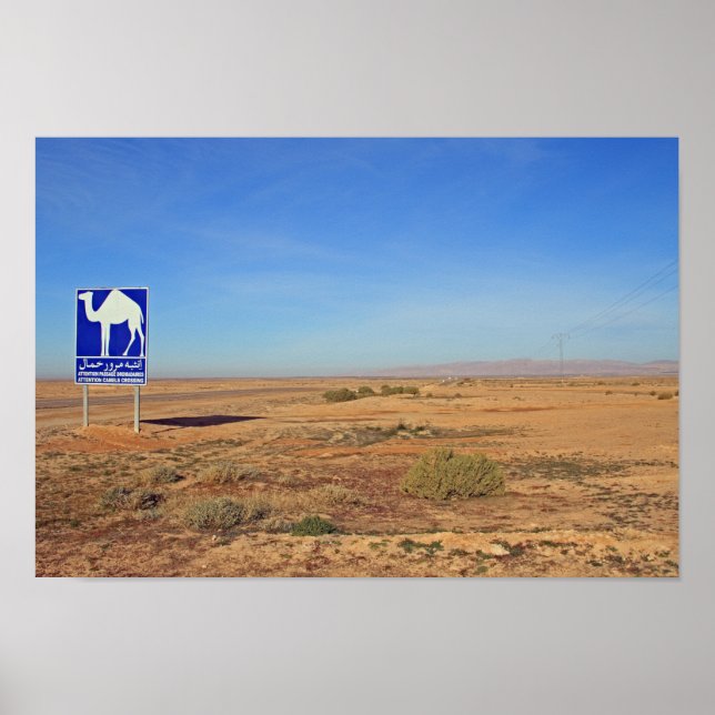 Camels sign, Tunisia Poster (Front)