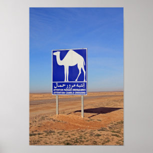 Camels sign, Tunisia Poster