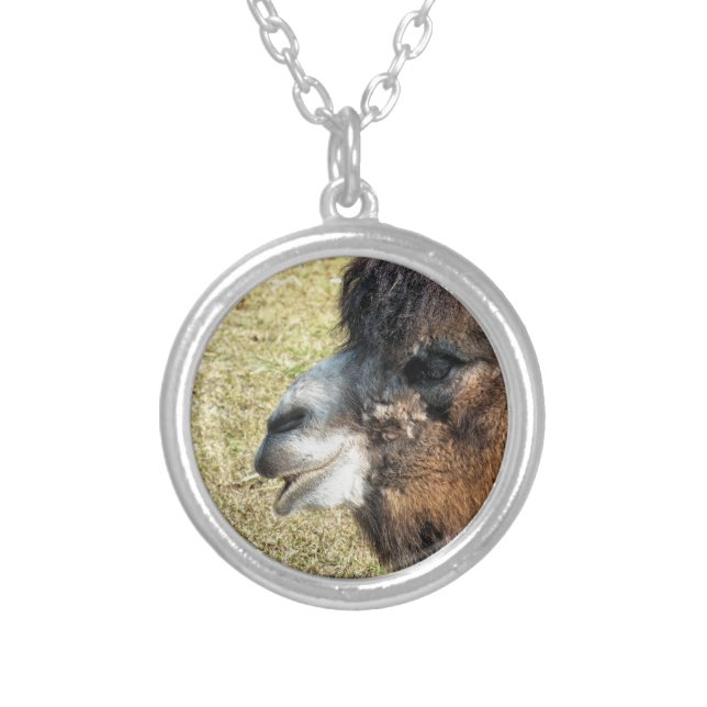CAMELS SILVER PLATED NECKLACE (Front)