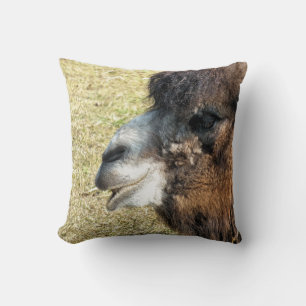 CAMELS THROW PILLOW