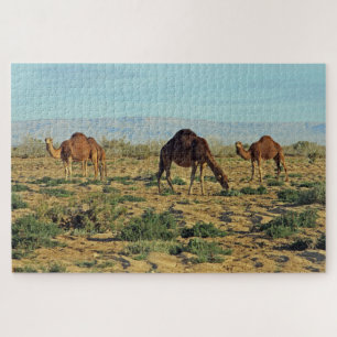 Camels, Tunisia 1014-pc Jigsaw Puzzle