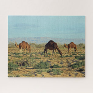 Camels, Tunisia 520-pc Jigsaw Puzzle