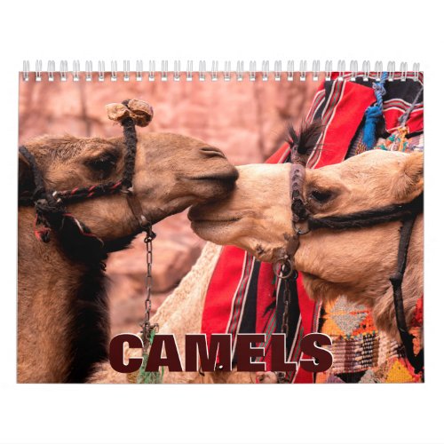 Camels Wall Calendar