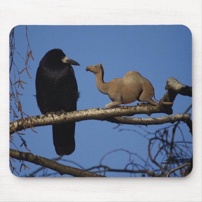 Camelus dromedarius mouse pad (Front)