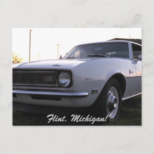 Camero Postcard