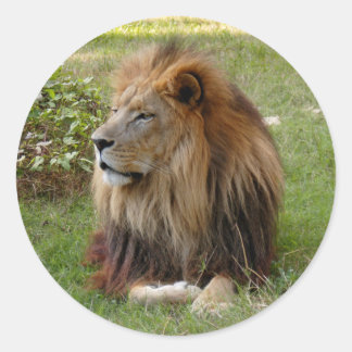 Cameron 3 11x11 classic round sticker