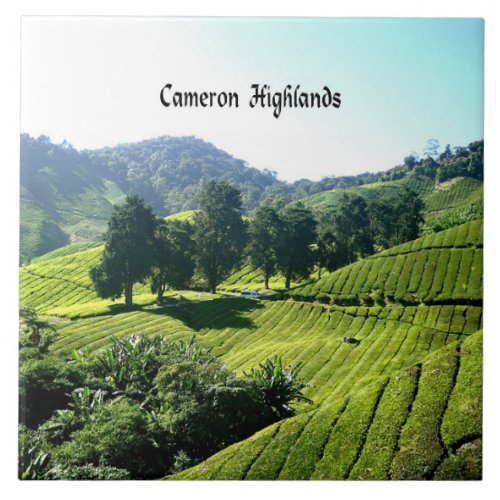 Cameron Highlands Tea Plantation Malaysia Ceramic Tile