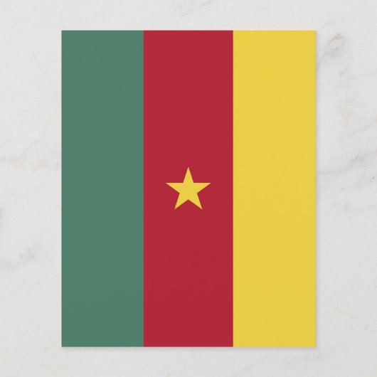 Cameroon flag (Back)