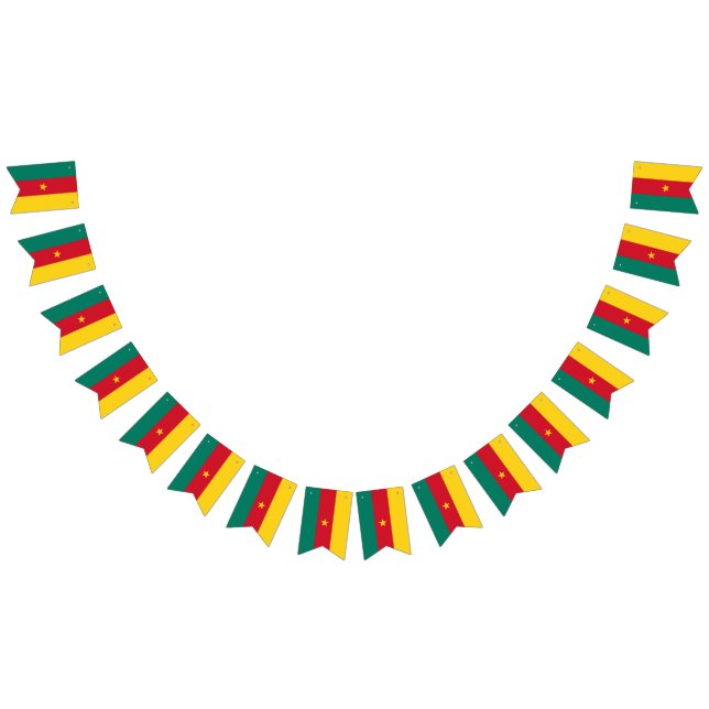 Cameroon flag bunting banner (All)