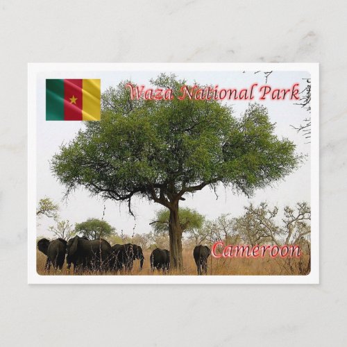Cameroon _ Wasa National Park _ Postcard