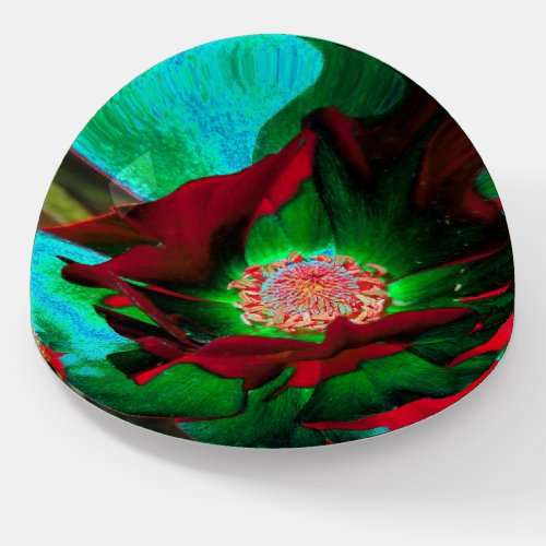 Camilia Image inside a Dome Shaped Paperweight